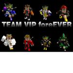 Team VIP foreEver