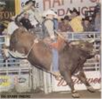 Bull riding club
