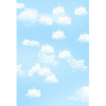 The Amazing Robloxians of the World