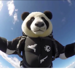 Panda Fg