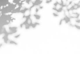 WHITE ROOM