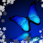 IIButterfliesII