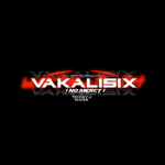 VsX Group