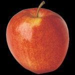 The Red Orchard