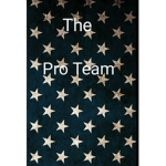 The Pro Team (build a hideout and sword fight)