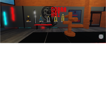 [NEW!] COBRA KAI DOJO