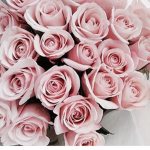 The{]}Roses