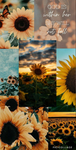 {>aesthetic sunflower<}