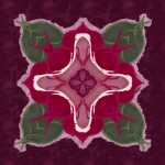 Amaranth Studios