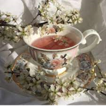 Your Favorite Cup of Tea