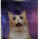 Pickle Sticker