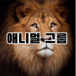 애니멀 그룹