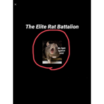 The Elite Rat Battalion