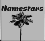 Namestars Gang
