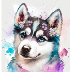 Husky and dog group