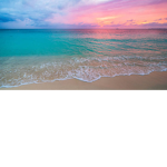 Sunset Roblox Fan group