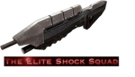 Elite shock squad
