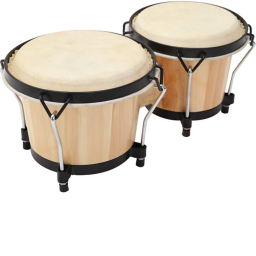 BONGO CENTER