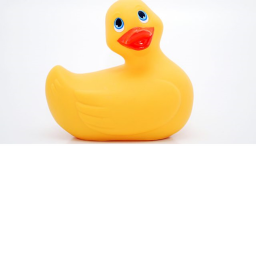 Duck community to speak