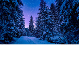 Winter Wonder Land