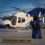 [NRCM] Pilot License
