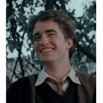 *~cedric diggory fan club~*