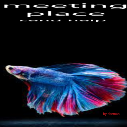 fishy meeting place idk lol