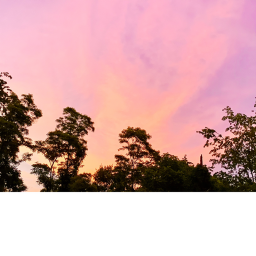 My backyard at night twilight by playing