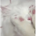 mwaa!!