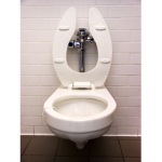 team toilet PP