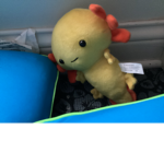 YT Axolotl group