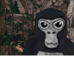 Monke(s) Squad
