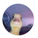 Lol fortnite clan