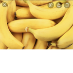 Banna group123