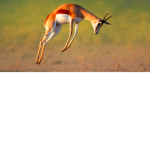 2870