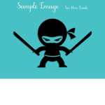 The Ninja Team !!!