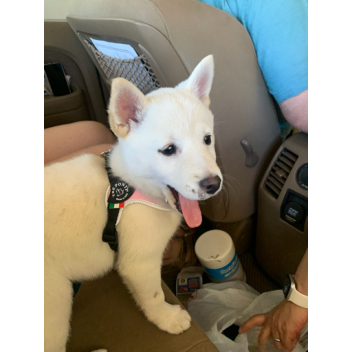 Room for Friends(W.I.P)