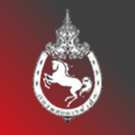 1st Cavalry Division : กองพลทหารม้าที่ ๑