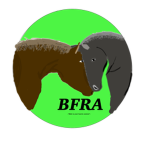 BF Riding Academy!