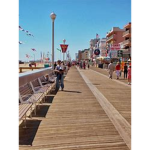< Mollie's Boardwalk >