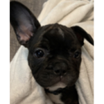 Sebastian’s group page