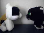 Kitty Meets Kitty