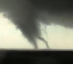 tornado survival