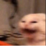 Pay Kat