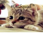 THE #CatSquad ®
