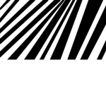 The Zebra Print Group