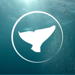 Pandora Aquarium