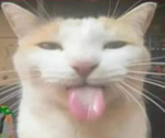 amongusDripXD