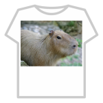 capy