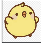Ducky Duck Duck Squad